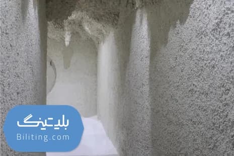 استخر دلفین فردیس